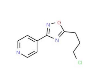 4-[5-(3-chloropropyl)-1,2,4-oxadiazol-3-yl]pyridine - chemical structure image