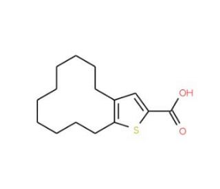 4,5,6,7,8,9,10,11,12,13-Decahydrocyclododeca[b]-thiophene-2-carboxylic acid - chemical structure image