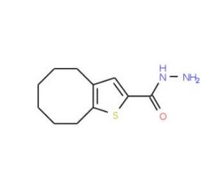 4,5,6,7,8,9-hexahydrocycloocta[b]thiophene-2-carbohydrazide - chemical structure image