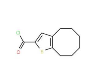 4,5,6,7,8,9-hexahydrocycloocta[b]thiophene-2-carbonyl chloride - chemical structure image