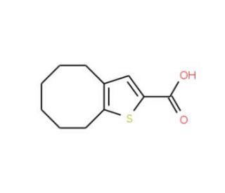 4,5,6,7,8,9-hexahydrocycloocta[b]thiophene-2-carboxylic acid (CAS 40133-09-3) - chemical structure image