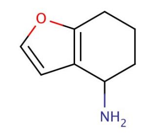 4,5,6,7-tetrahydro-1-benzofuran-4-amine - chemical structure image