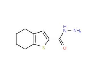 4,5,6,7-Tetrahydro-1-benzothiophene-2-carbohydrazide (CAS 65361-27-5) - chemical structure image
