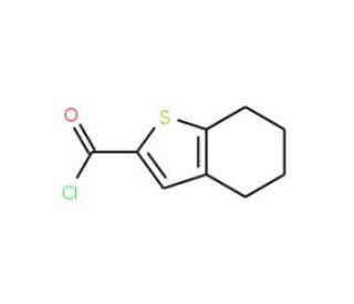 4,5,6,7-Tetrahydro-benzo[b]thiophene-2-carbonyl chloride (CAS 65361-26-4) - chemical structure image