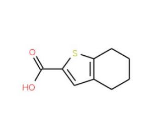 4,5,6,7-Tetrahydro-benzo[b]thiophene-2-carboxylic acid (CAS 40133-07-1) - chemical structure image