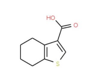 4,5,6,7-Tetrahydro-benzo[b]thiophene-3-carboxylic acid (CAS 19156-54-8) - chemical structure image