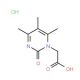 (4,5,6-Trimethyl-2-oxo-2H-pyrimidin-1-yl)-acetic acid hydrochloride - chemical structure image