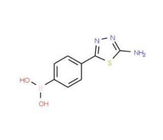 4-(5-Amino-1,3,4-thiadiazol-2-yl)phenylboronic acid (CAS 957034-52-5) - chemical structure image