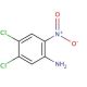 4,5-Dichloro-2-nitroaniline (CAS 6641-64-1) - chemical structure image