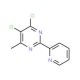 4,5-Dichloro-6-methyl-2-(2-pyridyl)pyrimidine (CAS 306935-55-7) - chemical structure image