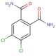 4,5-Dichlorophthalamide (CAS 147699-62-5) - chemical structure image