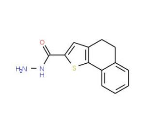 4,5-Dihydronaphtho[1,2-b]thiophene-2-carbohydrazide - chemical structure image