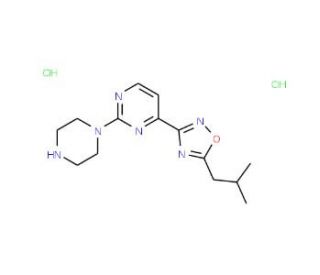 4-(5-Isobutyl-1,2,4-oxadiazol-3-yl)-2-(piperazin-1-yl)pyrimidine dihydrochloride - chemical structure image
