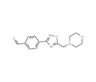 4-[5-(Morpholin-4-ylmethyl)-1,2,4-oxadiazol-3-yl]-benzaldehyde - chemical structure image
