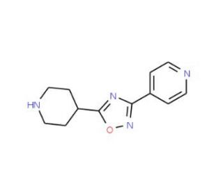 4-[5-(Piperidin-4-yl)-[1,2,4]-oxadiazol-3-yl]-pyridine (CAS 276237-03-7) - chemical structure image