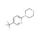 4-(5-Trifluoromethyl)-2-pyridinyl morpholine - chemical structure image