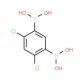 4,6-Dichloro-1,3-phenylenediboronic acid (CAS 1150114-65-0) - chemical structure image