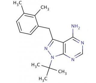 4-Amino-1-tert-butyl-3-(2,3-dimethylbenzyl)pyrazolo[3,4-d]pyrimidine - chemical structure image
