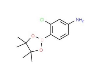 4-Amino-2-chlorophenylboronic acid, pinacol ester (CAS 877160-63-9) - chemical structure image