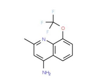 4-Amino-2-methyl-8-trifluoromethoxyquinoline (CAS 1189105-74-5) - chemical structure image