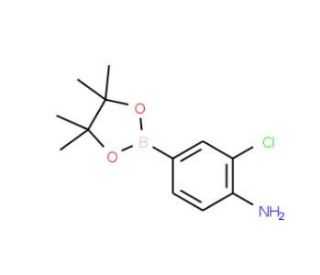 4-Amino-3-chlorophenylboronic acid, pinacol ester (CAS 721960-43-6) - chemical structure image