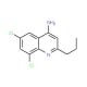 4-Amino-6,8-dichloro-2-propylquinoline (CAS 1189105-48-3) - chemical structure image
