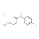 4-amino-N-(4-chlorophenyl)butanamide hydrochloride - chemical structure image