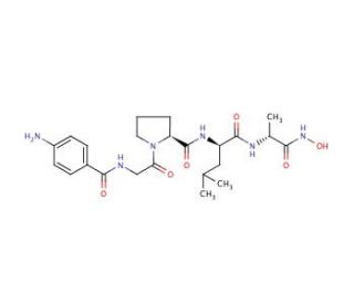 4-Aminobenzoyl-Gly-Pro-D-Leu-D-Ala hydroxamic acid (CAS 124168-73-6) - chemical structure image