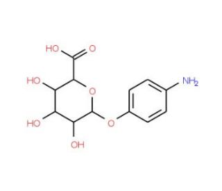 4-Aminophenyl b-D-glucuronide Sodium Salt (CAS 21080-66-0) - chemical structure image