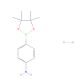 4-Aminophenylboronic acid pinacol ester hydrochloride (CAS 616227-14-6) - chemical structure image