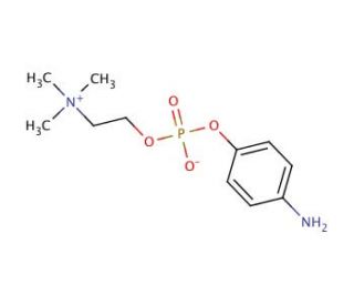 4-Aminophenylphosphorylcholine (CAS 102185-28-4) - chemical structure image