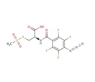 4-Azido-2,3,5,6-tetrafluorobenzamido-L-cysteine Methanethiosulfonate (CAS 352000-06-7) - chemical structure image