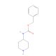 4-Benzyloxycarbonylamino-piperidine (CAS 182223-54-7) - chemical structure image