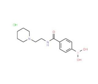 4-Borono-N-[2-(piperidin-1-yl)ethyl]benzamide hydrochloride (CAS 957060-72-9) - chemical structure image