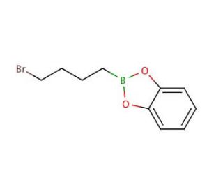 4-Bromo-1-butylboronic acid catechol ester (CAS 142172-51-8) - chemical structure image
