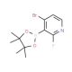 4-Bromo-2-fluoropyridine-3-boronic acid pinacol ester (CAS 1150561-79-7) - chemical structure image
