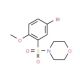 4-Bromo-2-(morpholin-4-ylsulphonyl)anisole (CAS 325809-68-5) - chemical structure image