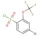 4-Bromo-2-(trifluoromethoxy)benzenesulfonyl chloride (CAS 175278-14-5) - chemical structure image
