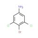 4-Bromo-3,5-dichloroaniline - chemical structure image