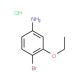 4-Bromo-3-ethoxyaniline hydrochloride (CAS 846023-33-4) - chemical structure image
