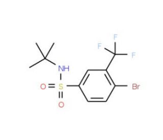 4-Bromo-N-tert-butyl-3-(trifluoromethyl)benzenesulfonamide (CAS 1020253-06-8) - chemical structure image