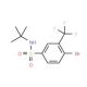4-Bromo-N-tert-butyl-3-(trifluoromethyl)benzenesulfonamide (CAS 1020253-06-8) - chemical structure image