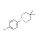 4-Bromobenzeneboronic acid neopentyl glycol ester (CAS 183677-71-6) - chemical structure image