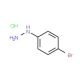 4-Bromophenylhydrazine hydrochloride 的分子结构, CAS编号: 622-88-8 4-Bromophenylhydrazine hydrochloride (CAS 622-88-8) - chemical structure image