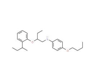 4-Butoxy-N-{2-[2-(sec-butyl)phenoxy]butyl}aniline - chemical structure image