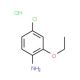 4-Chloro-2-ethoxyaniline, HCl (CAS 858855-49-9) - chemical structure image