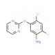 4-Chloro-2-fluoro-5-(2-pyrimidinyloxy)aniline - chemical structure image