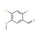 4-Chloro-2-fluoro-5-methoxy benzaldehyde (CAS 177034-24-1) - chemical structure image