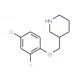 4-Chloro-2-fluorophenyl 3-piperidinylmethyl ether - chemical structure image