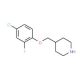 4-Chloro-2-fluorophenyl 4-piperidinylmethyl ether - chemical structure image